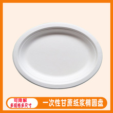 一次性甘蔗纸浆鱼盘中号圆盘大号椭圆盘可降解纸浆餐具烧烤纸浆盘