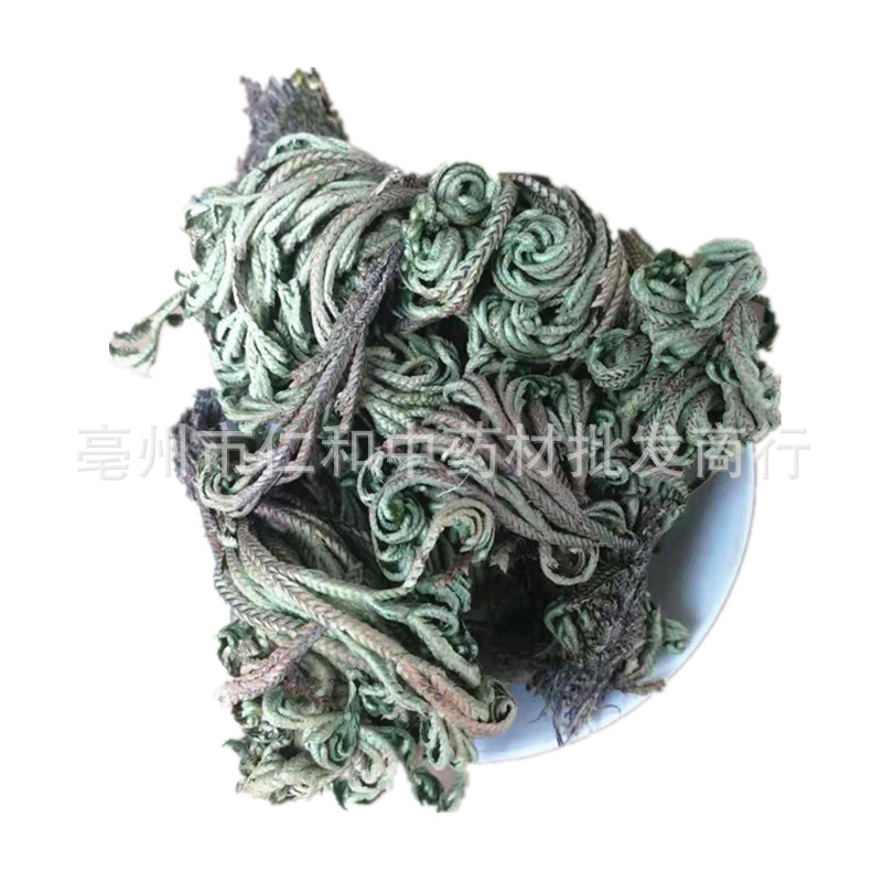 Dried Selaginella Juan Bai 500g Whole Herb Resurrection Grass Traditional TCM Botanical in use