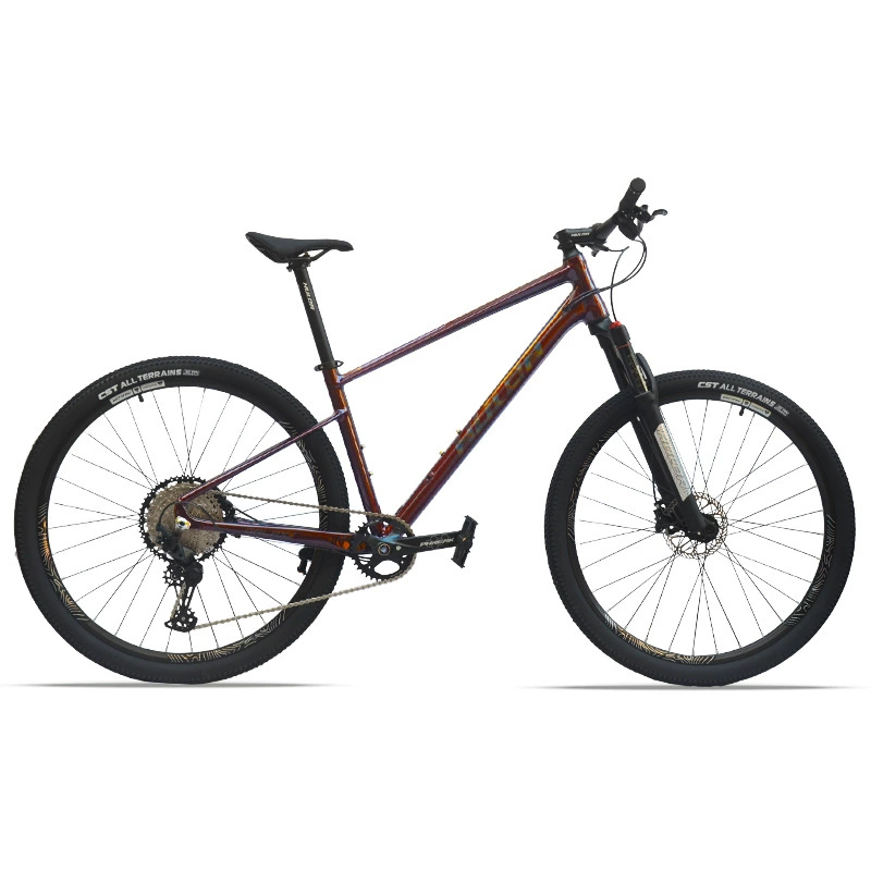 Huldabike Hul Laida 12-скоростной барабанный вал 29-дюймовый велосипед из алюминиевого сплава с зарядкой для активного отдыха
