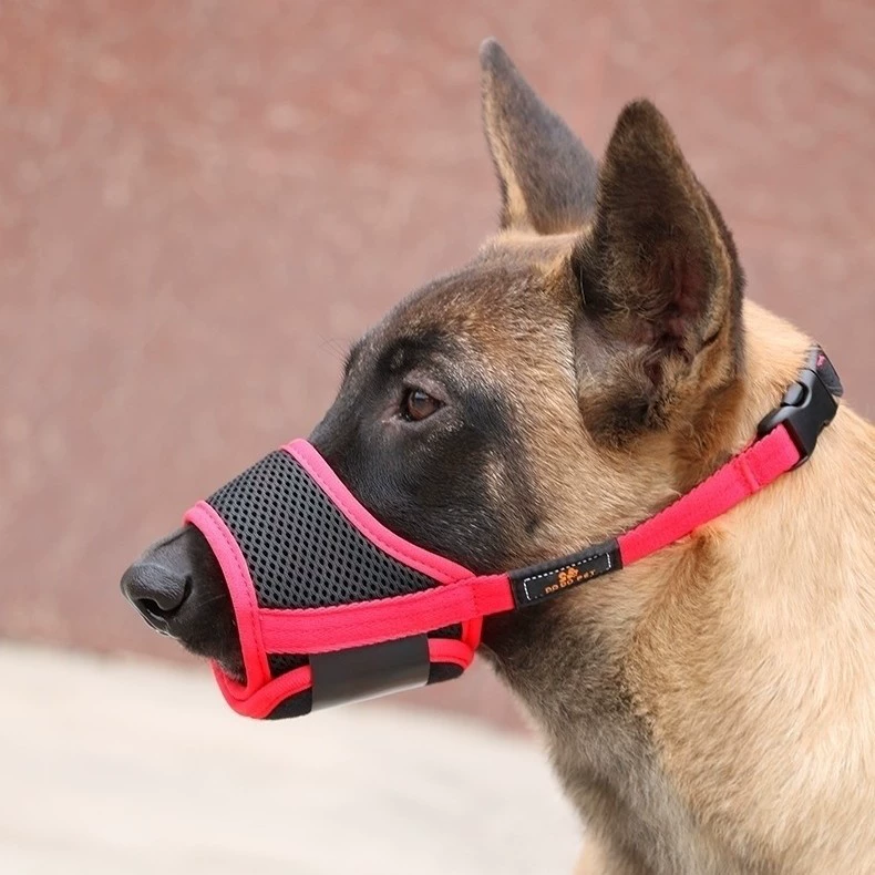 Домашние животные Йоркшир рот рот рот щенок маска рот рот маска рот рот укус