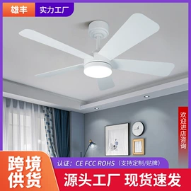 风扇灯;吊灯;吸顶灯