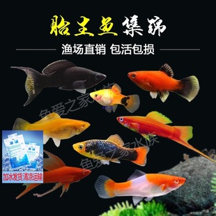 ̥���~�����~���y��Ƥ��Ꭷ�^�p�~�¹��~С�͌����~�׻��w�t���~