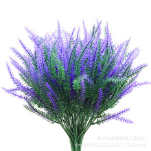 滨޹²ݷ@bGֲbϻֲԻl