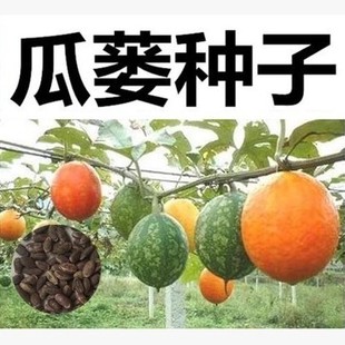 ���V�N�� ���ϷN�� Ұ���J�N�� ���ٹ��V�� �컨����ǷN�� �׷N