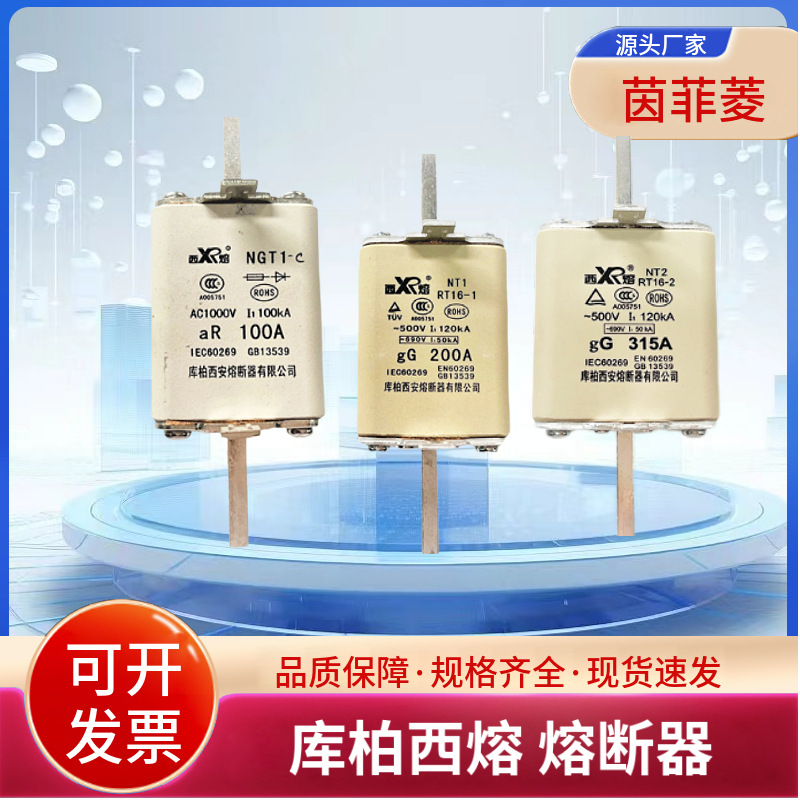 库柏西熔熔断器RSG-2 500V/750A-ZK 690V/250A-MK 1000V/500A-P