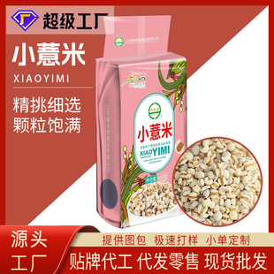 С޲�����l500���F�ݼt��ԭ�Ϲ�������s�Z�ּZ���޲������؛