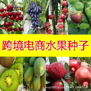 �羳���lˮ���N�� ����N������ɣ����֦ ���� ľ�ϻ������J����