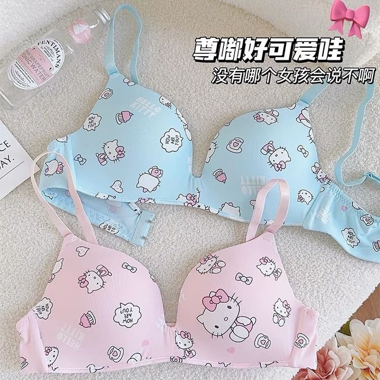 Japanese Style Girly Style Hello Kitty Sweet Intimates Set Women's Small Breast Push-Up Pure Lust Sexy Bra