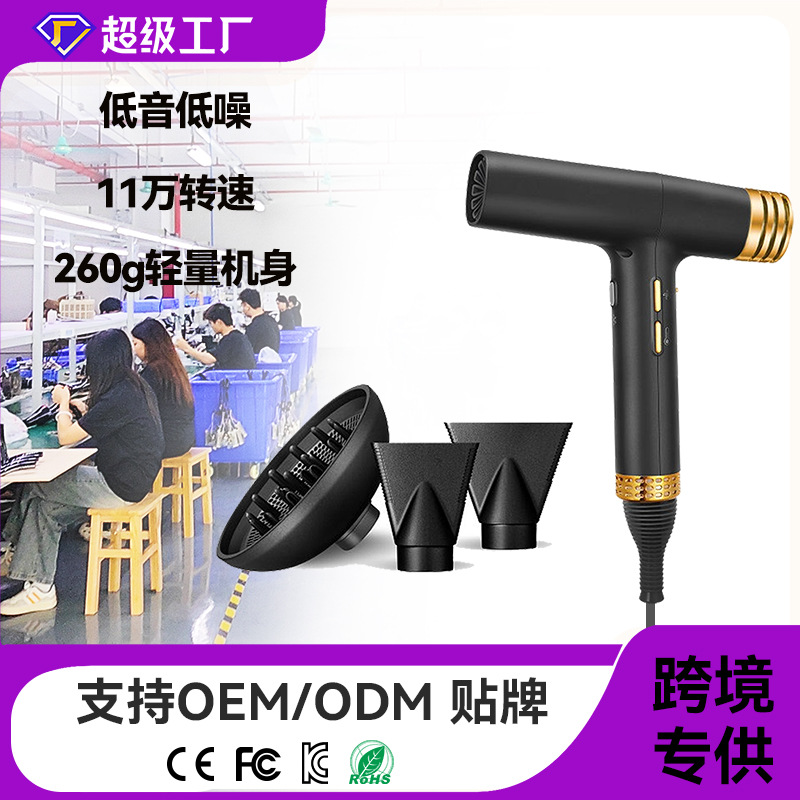 Comercio exterior transfronterizo motor sin escobillas secador de pelo mayorista doméstico personalizado anión secador de pelo de alta velocidad