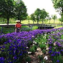 SβͥԺ·Gm{Sβmرֲ