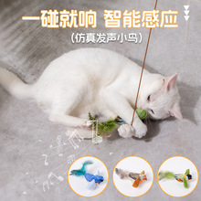 �羳؈����߶�؈������н��B�lë�q���؈�����˽␞؈����Ʒ