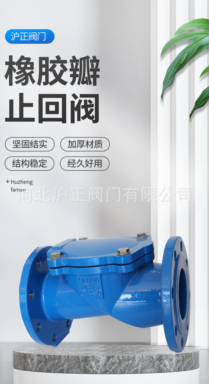 橡胶瓣止回阀-详情_01.jpg