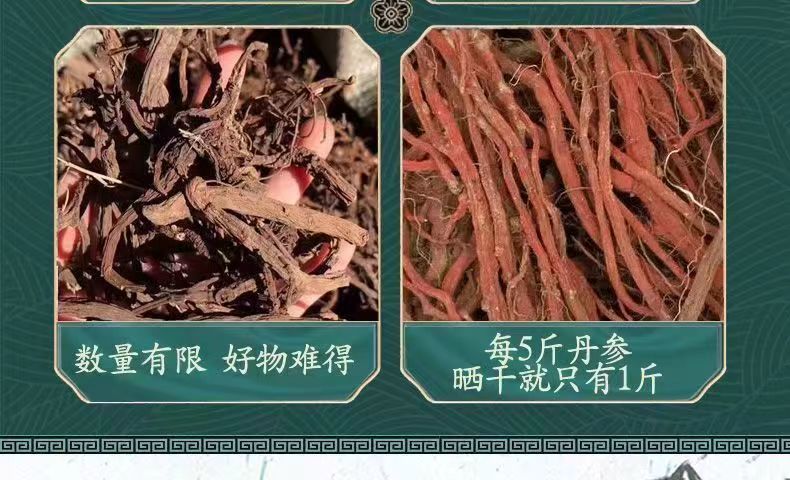 Dried Danshen Red Sage Root Slices Dan Shen 500g Bulk Chinese Herbal Tea and Decoction Pieces specifications