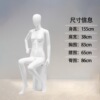 女坐模（大胸款）