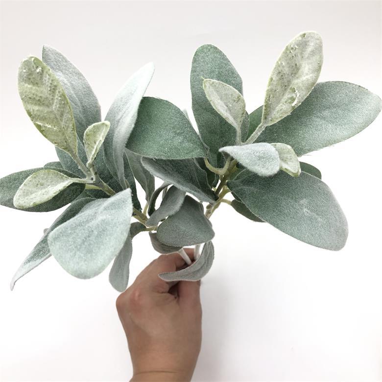 2021-07-21 180506.jpg