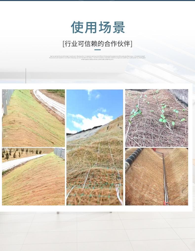 详_03.jpg