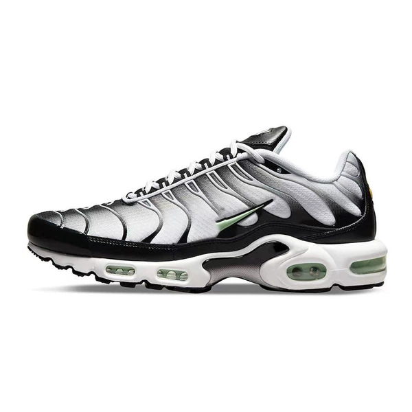 TN12