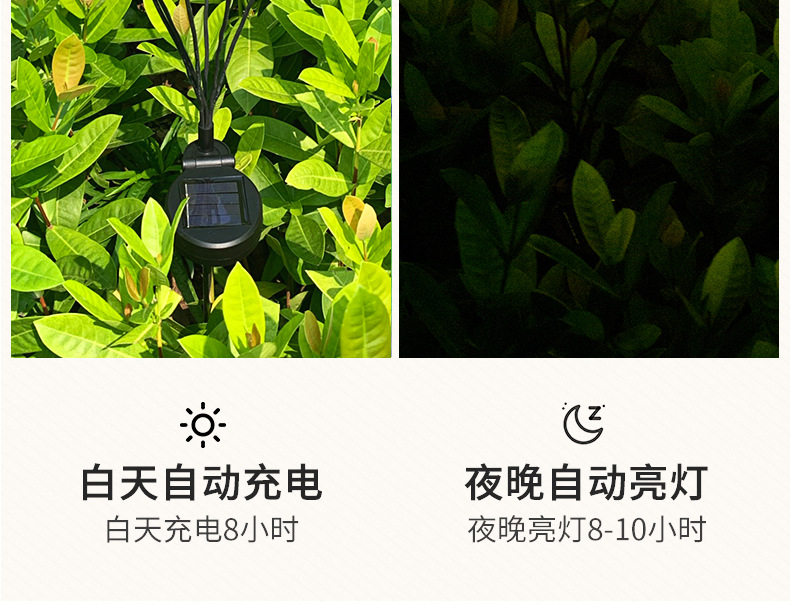 详情图片_16