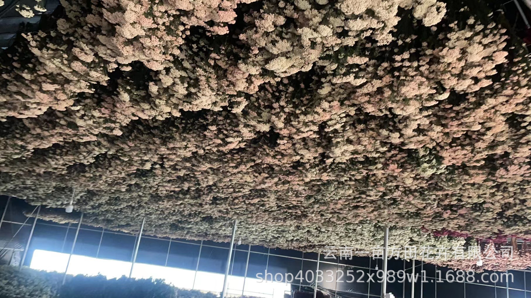 cc78cedb90c1ce789d9ecaefd90102