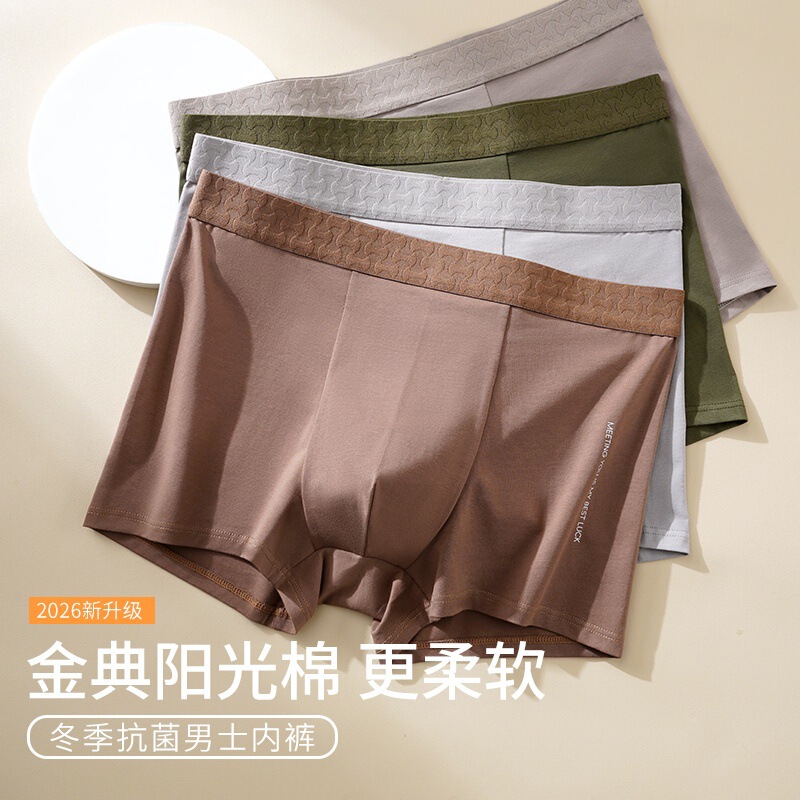 100% Cotton 10A Antibacterial Breathable Class a Cotton Men's Underwear Summer New Style Boxer Briefs Pure Cotton Men's Underwear
