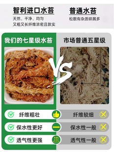 ?�����M��ˮ̦ëë�xˮ̦��̦�\�m���I�B���������߉|�ĺ����m��