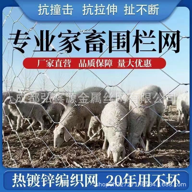 镀锌铁丝网牛羊猪拧钢丝绳六角网农场钢丝网隔离围栏热镀锌养殖网