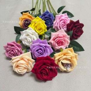 ���滨�q����֧���õ���l��Y��c�Ҿ��b廨�[����Ϧ�tõ��õ