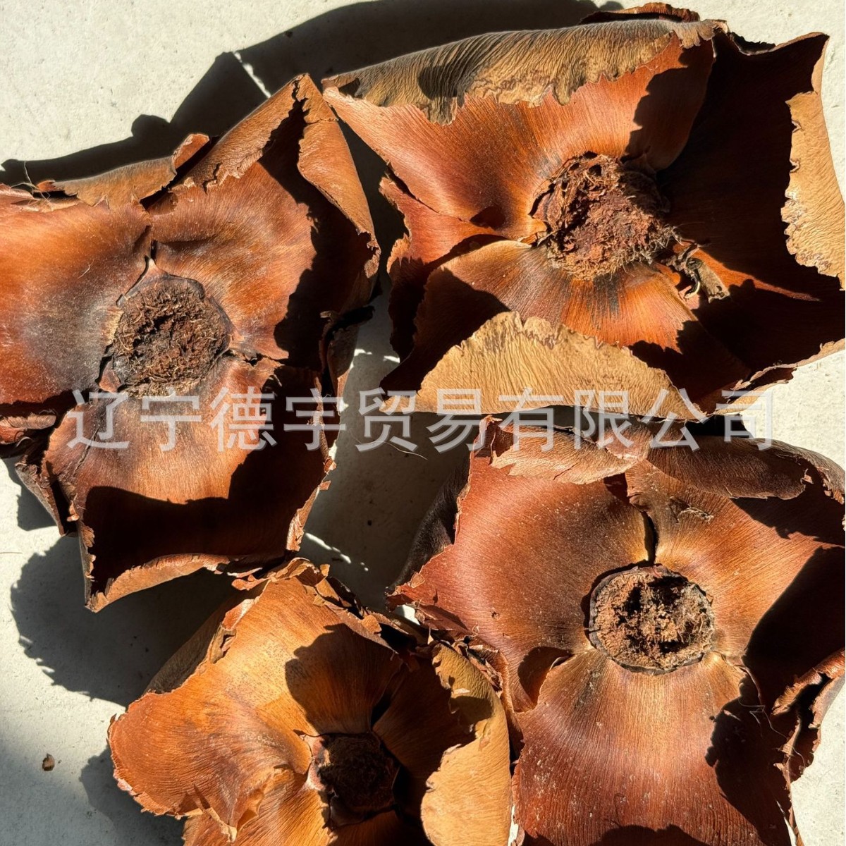 椰子花 进口果壳 干花干果 装饰 圣诞树干花天然植物家居插花装饰