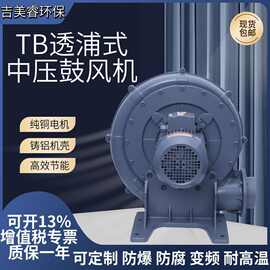 TB150-10 塑料机械中压风机透浦式鼓风机 吹膜机用耐高温吹吸两用