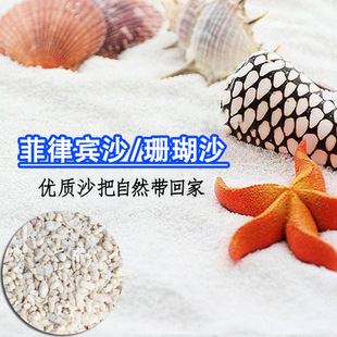 Wholesale In-Stock Philippine Sand for Aquariums, Specialized Decorative Shell Sand for Aquarium Landscaping, Hermit Crab Substrate