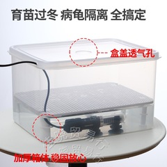 亀の白黒の髪の色の箱の育苗箱の卵のカメの飼育箱の収納箱のカメの苗の隔離箱は冬を過ぎて保温します。