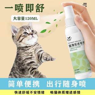 Catnip Spray, Catnip Water Snacks, Hair Removal, Hairball Removal, Fresh Breath, Digestion Aid, Cat Teasing to Relieve Boredom