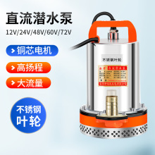 电动不锈钢离心泵12V24V户外灌溉抽水泵家用增压泵微型直流潜水泵