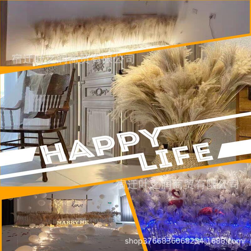 NMN4E`A@DHB$R[OXZ35S8NF