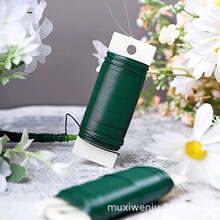 22号圣诞绿色金属铁丝花艺细铁丝DIY烤漆铁丝0.7mm园林捆绑扎丝