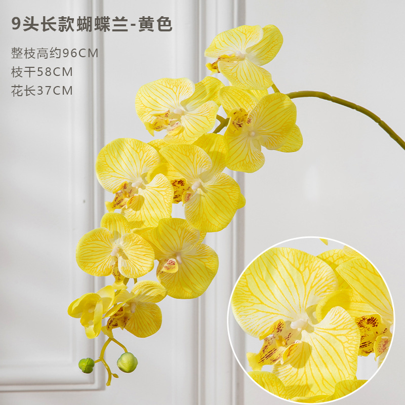 9 포크 phalaenopsis 노란색