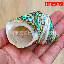 �G�ݗl�y�V�ڎV����Ȼ����ؐ���Ҿ��ղؘ˱��[���~�׼ľ�з��Q��