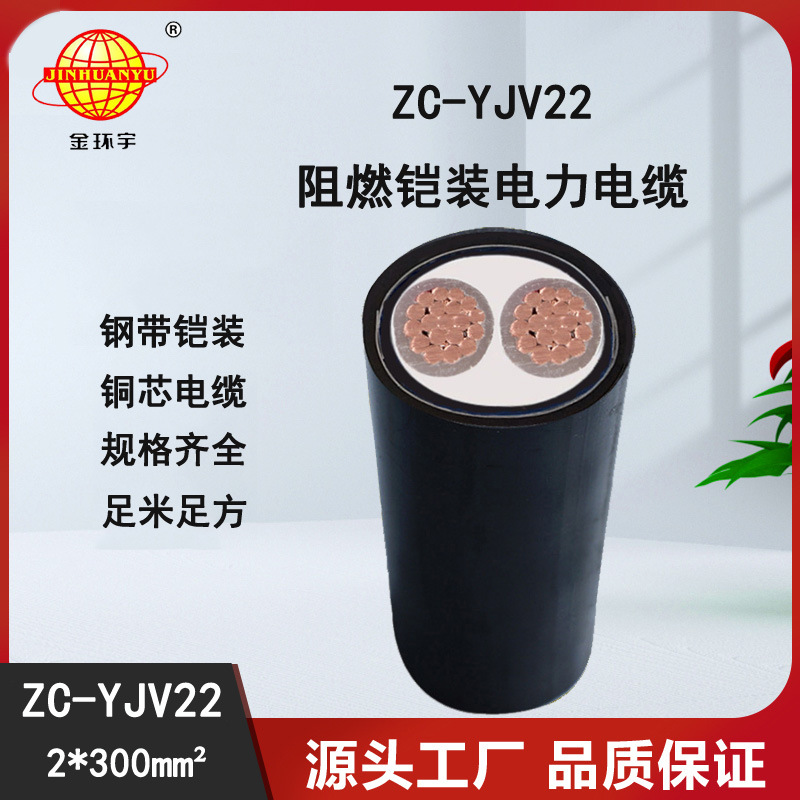 金环宇电缆 ZC-YJV22 2X300平方 阻燃低压铠装电缆 电力电缆