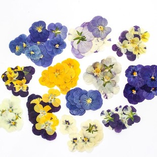 ��ɫ��/�����ɻ�Ѻ��/�������ϰ����l���z�Ʒ����Ę�y�֙C���b�