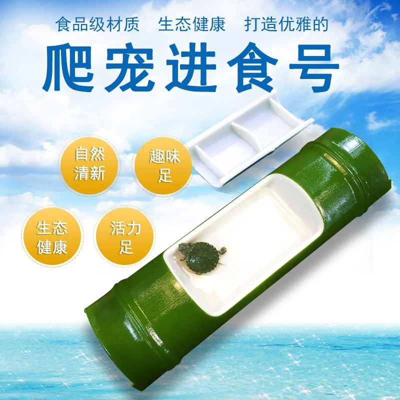 Домашнее животное крупного рогатого скота с имитацией экологических зоотоваров кошка собака черепаха рептилия Скорпион ящерица водный бассейн кормушка для овощей