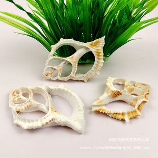 �~�׺����朶���Ƭ�����쾰ؐ����Ȼ���ֱ�N��ؐ���Ǻ���DIY