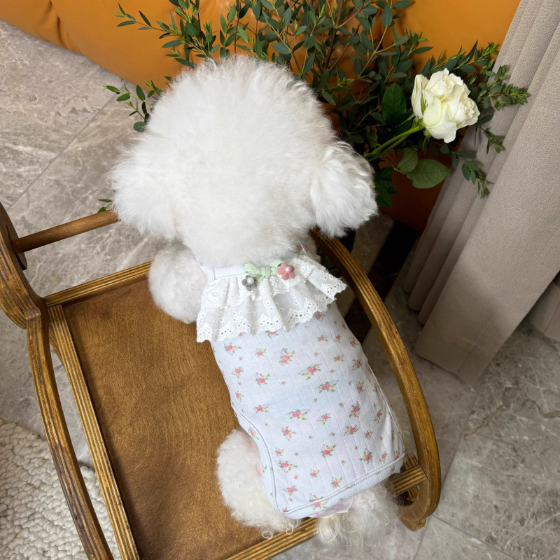 Ropa para perros primavera y verano nuevo estilo Teddy Bichon Bomei lindo tirantes bolso de chaleco de encaje barriga servicio a domicilio