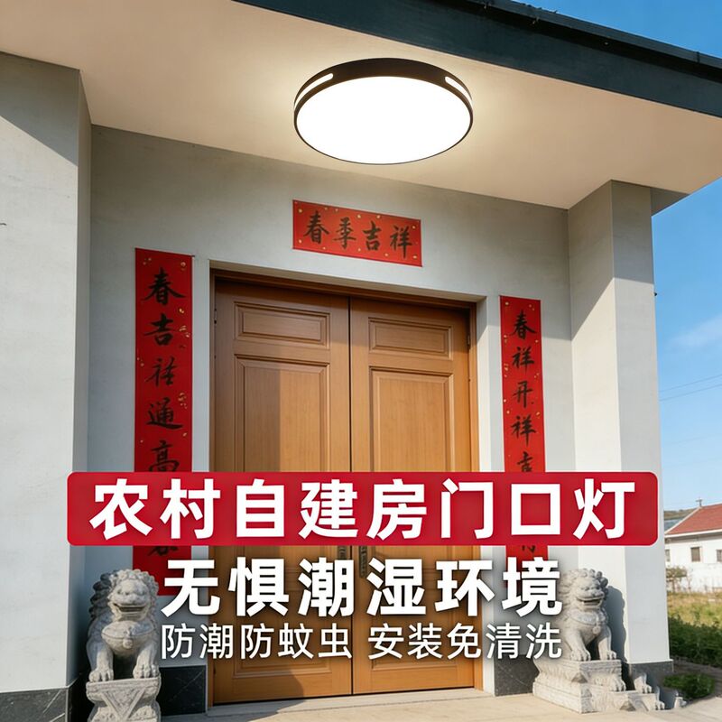 Villa Entrance Ceiling Light, Rural Self-Built House Entrance Foyer, Outdoor Eaves Balcony Corridor, New Chinese Style Lamp Villa Entrance Ceiling Light, Rural Self-Built House Entrance Foyer, Outdoor Eaves Balcony Corridor, New Chinese Style Lamp