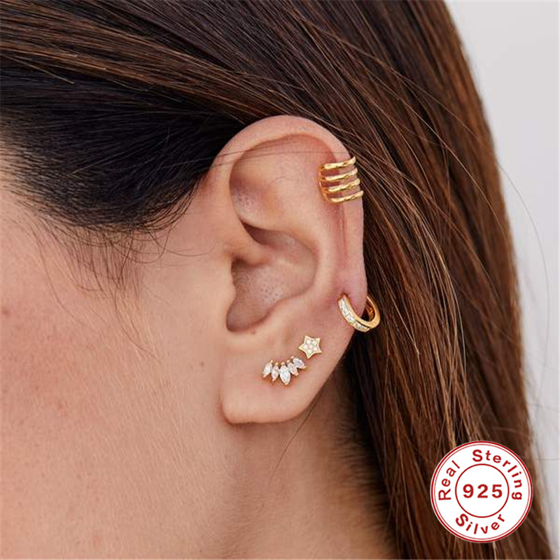 Estilo Simple Hoja Estrella Plata Esterlina Enchapado Embutido Circón Pendientes 1 Pieza display picture 3