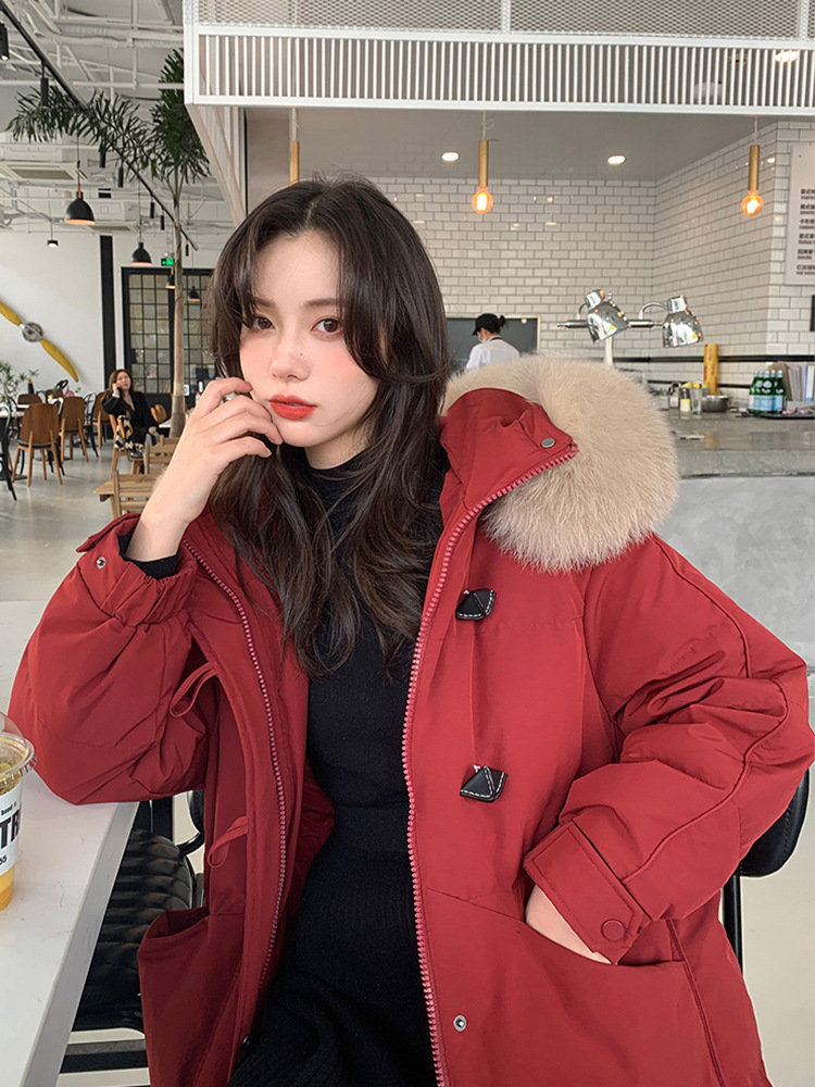 진사 레드