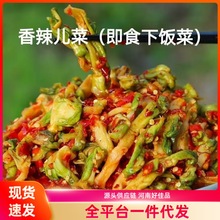香辣儿菜下饭菜农家咸菜香辣脆椒开胃即食酱菜凉拌小菜香辣下饭菜