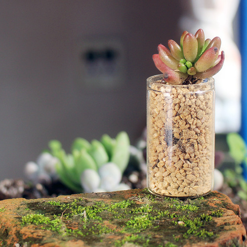 Mini test tube, small vase, succulent glass bottle, micro landscape ecological bottle, moss decorative hydroponic vessel, thumb bottle