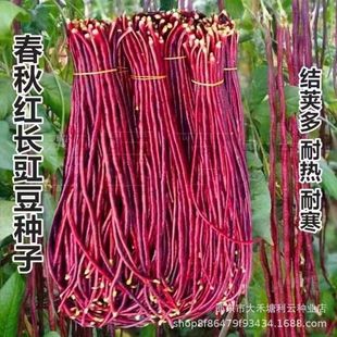 ����t�������L�ϼt���Ǹ߮a�����ļ����͟��ͺ�����������