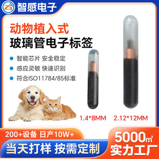 Glass Tube Animal Implantable Electronic Chip Cat and Dog Identification Pet Electronic Label Glass Tube Factory