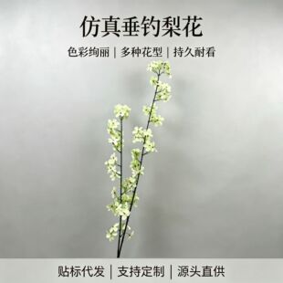 ���洹��滨�L֦�����滨֦��c��픻�ˇ�Ƶ�ܛ�b�廨�쾰�ٻ�